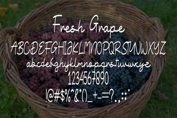 Fresh Grape Font - Preview 3