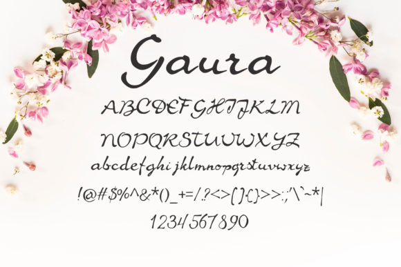 Gaura Font - Preview 1