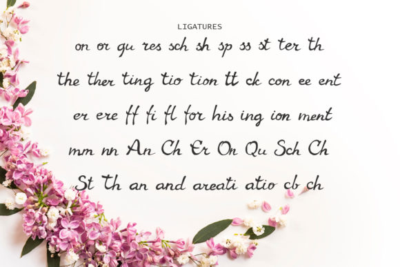 Gaura Font - Preview 2