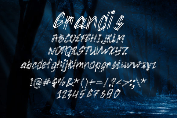 Grandis Font - Preview 1