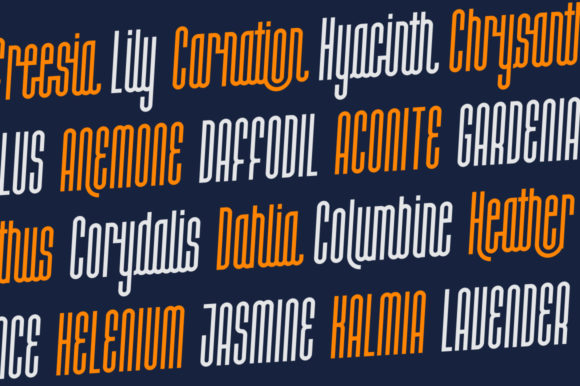 Halokia Font - Preview 3