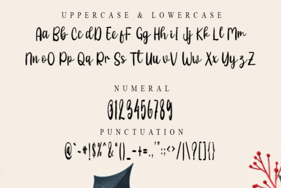 Business Signature Font - Preview 5