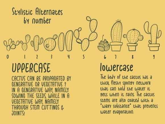Cactus Valley Font - Preview 4