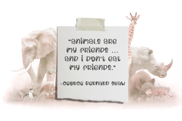 Animal Parade Font PNG with transparent background - Preview 1