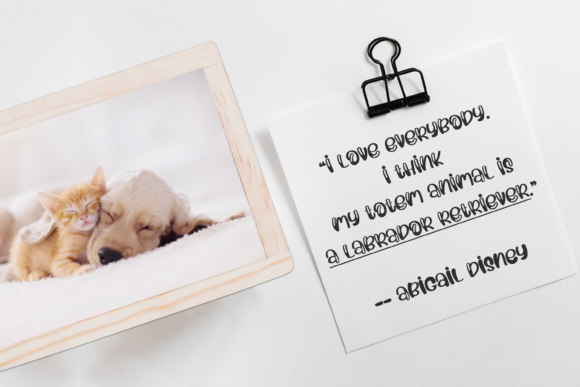 Animal Parade Font PNG with transparent background - Preview 3