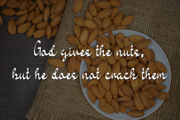 Carribean Nut Font - Preview 2