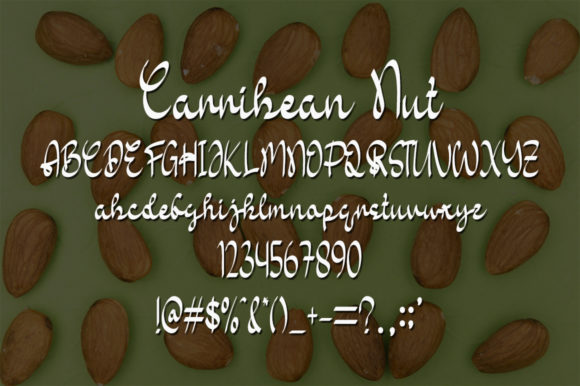 Carribean Nut Font - Preview 4