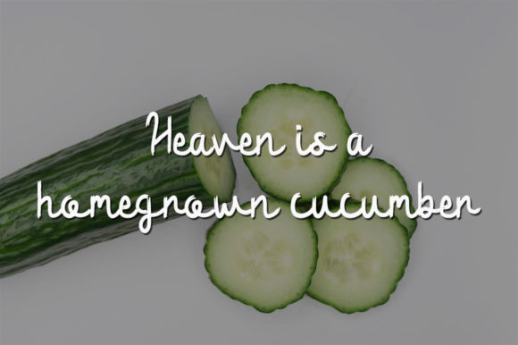 Cucumber Slices Font - Preview 1