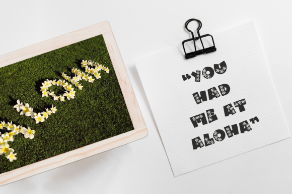 Aloha Font - Preview 3