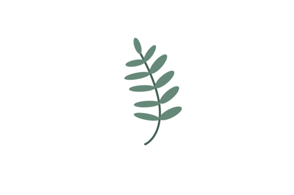 Nature Plant Tropical Vector Graphic by joythestudio  Creative Fabrica