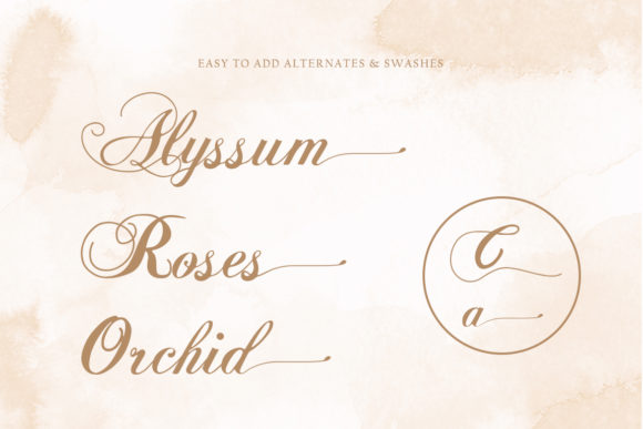 Balleria Font - Preview 4