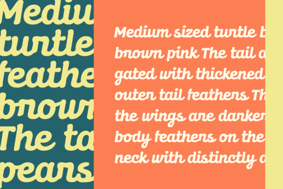 Dunley Font - Preview 4