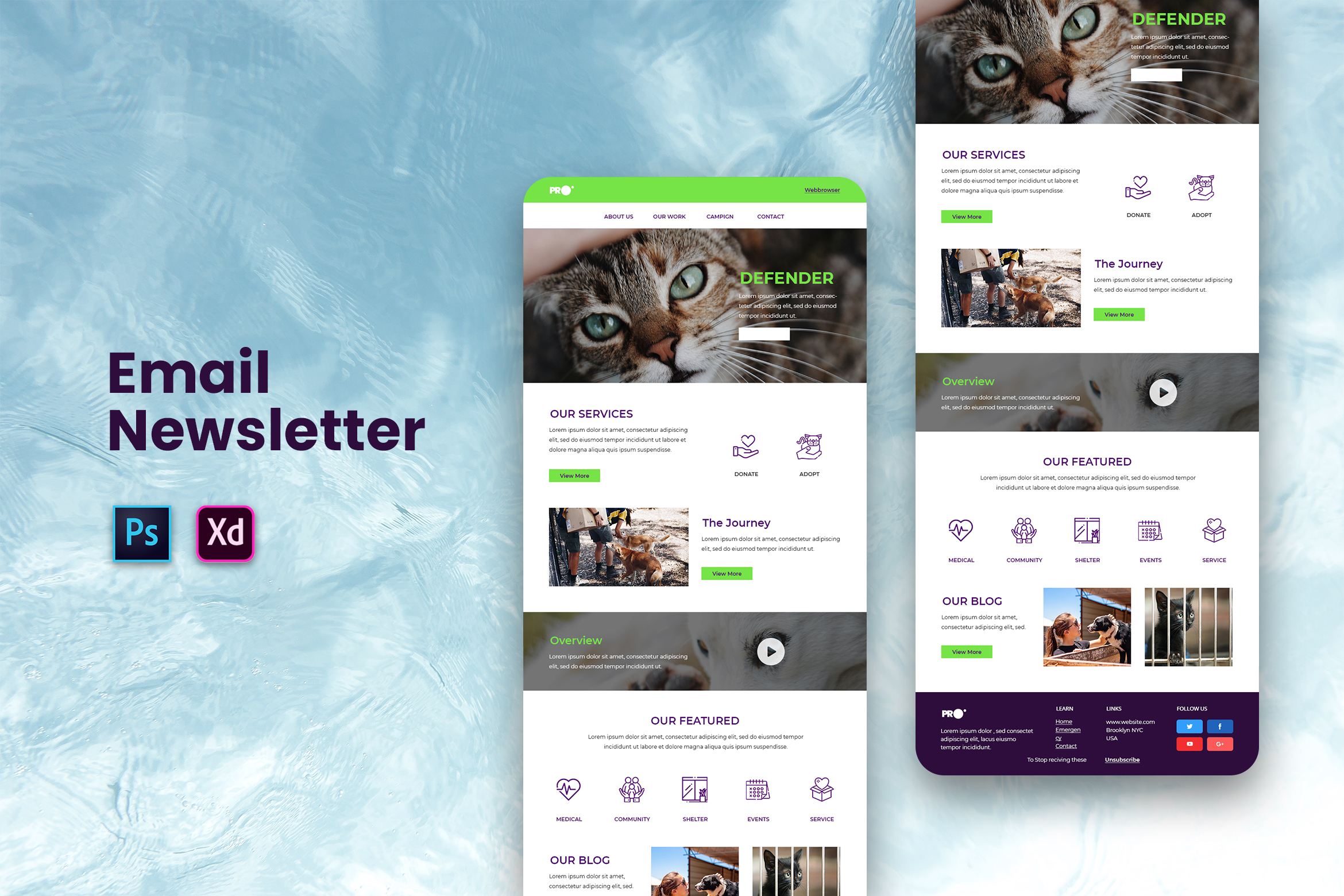 Email Newsletter Template Graphic by uicreativenet · Creative Fabrica