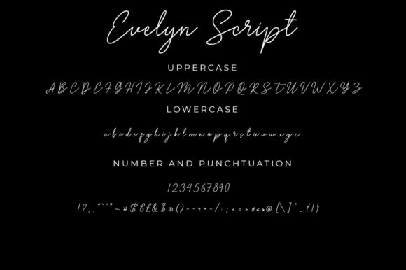 Evelyn Script Font - Preview 6