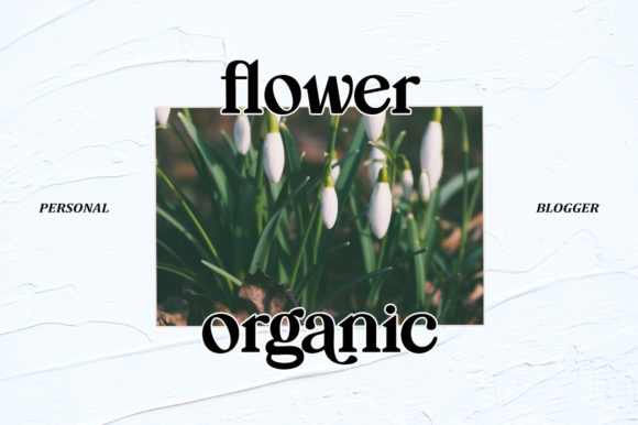 Mogila Font PNG with transparent background - Preview 3