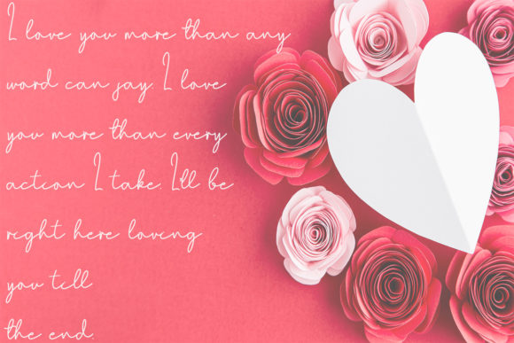 Shamilove Font font preview - 4
