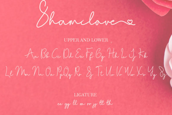 Shamilove Font font preview - 6