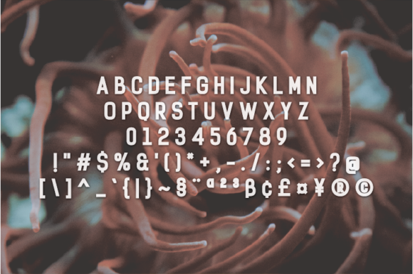 Antroni Font - Preview 1