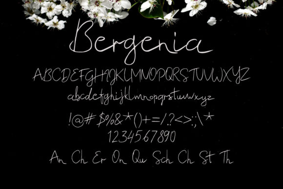 Bergenia Font - Preview 1