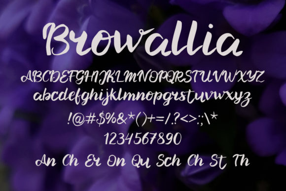 Browallia Font - Preview 1