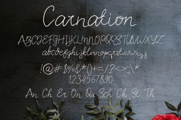 Carnation Font - Preview 1