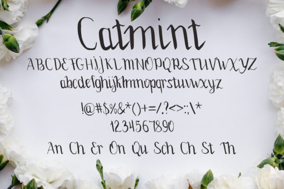 Catmint Font - Preview 1