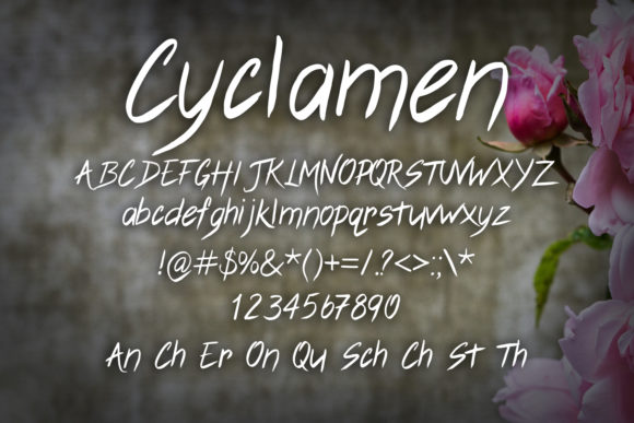 Cyclamen Font - Preview 1