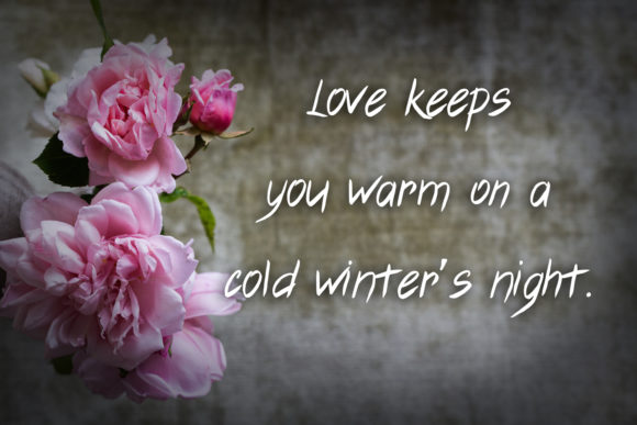 Cyclamen Font - Preview 2