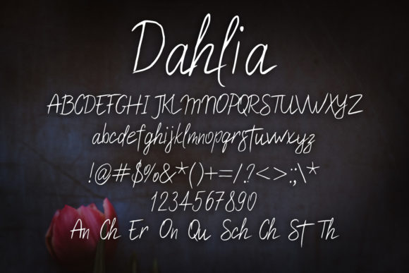 Dahlia Font - Preview 1