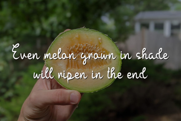 Green Melon Font - Preview 1