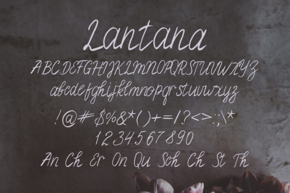 Lantana Font PNG with transparent background - Preview 1