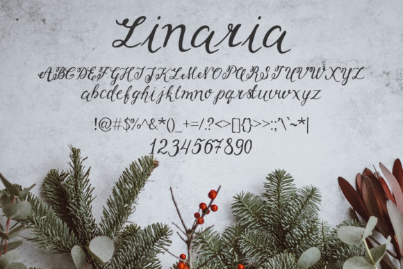 Linaria Font PNG with transparent background - Preview 1
