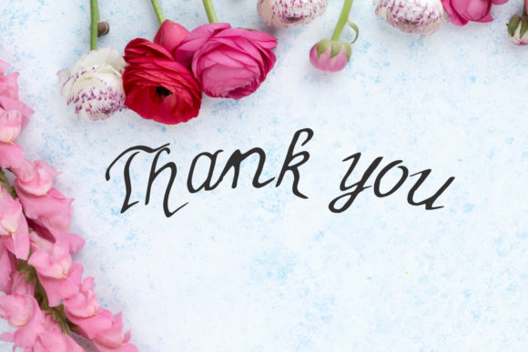 Morning Glori Font PNG with transparent background - Preview 6