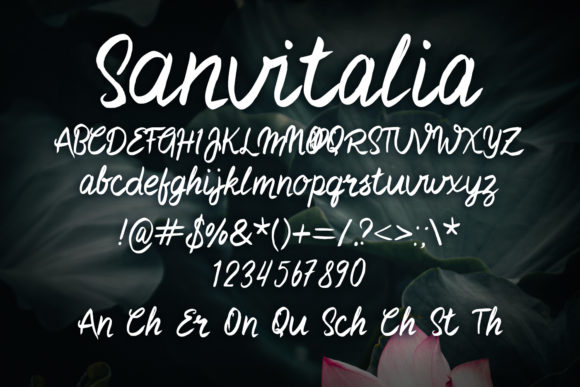 Sanvitalia Font PNG with transparent background - Preview 1