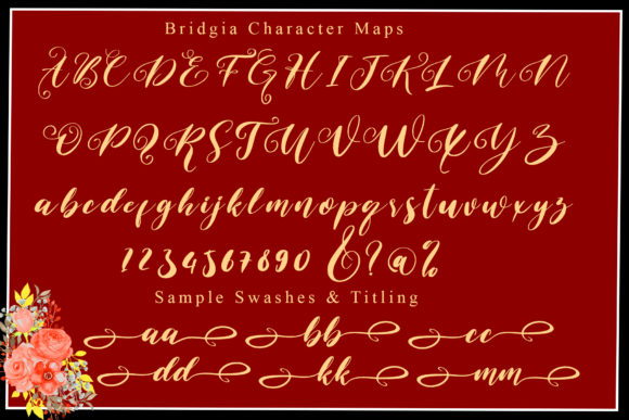 Bridgia Font - Preview 5
