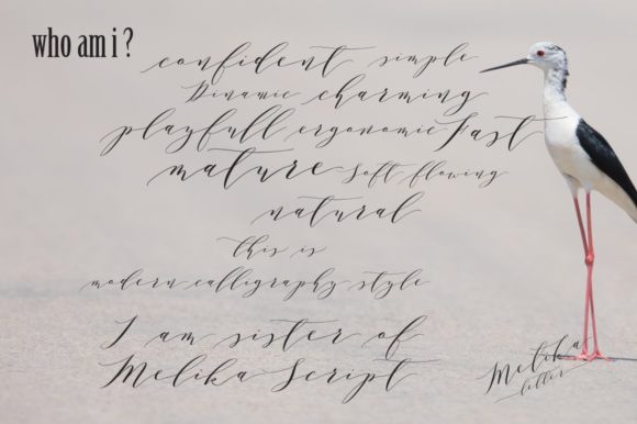 Melika Letter Font PNG with transparent background - Preview 1