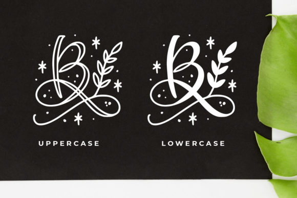 Quinn Monogram Font PNG with transparent background - Preview 4