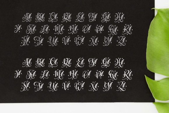 Quinn Monogram Font PNG with transparent background - Preview 5