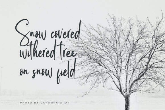 Santtina Font PNG with transparent background - Preview 2