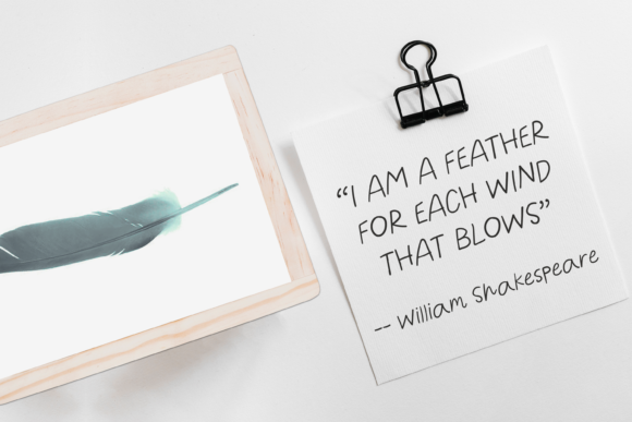 Feather Things Font - Preview 3