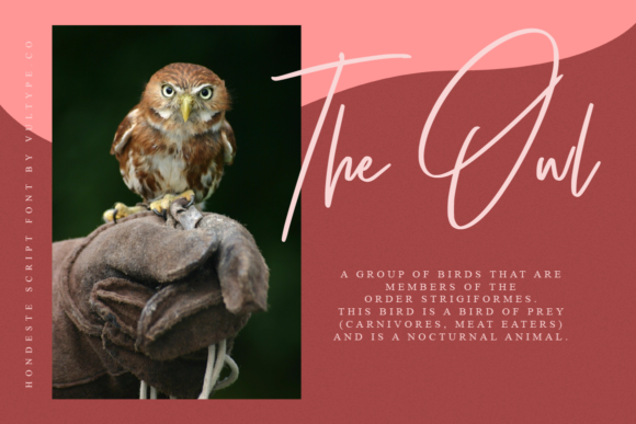 Hondeste Font PNG with transparent background - Preview 2