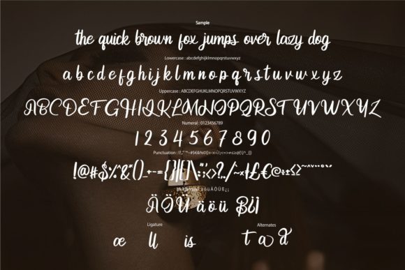 Andetia Font PNG with transparent background - Preview 5
