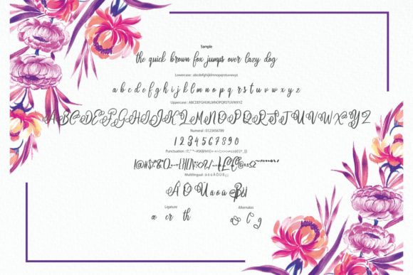 Blofera Font - Preview 5