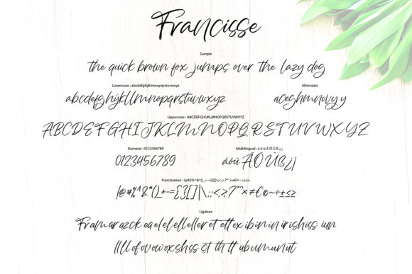 Francisse Font PNG with transparent background - Preview 4