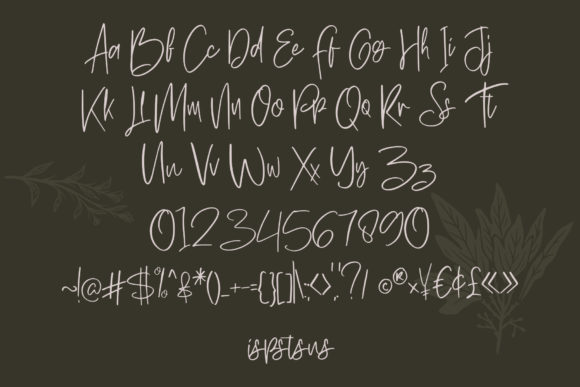 Hawkins Park Font PNG with transparent background - Preview 5