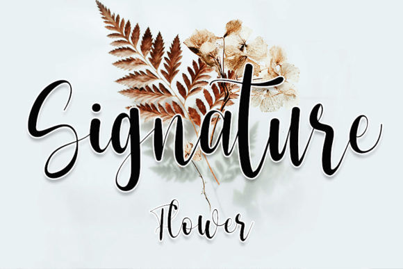 Hello Ladies Font PNG with transparent background - Preview 1