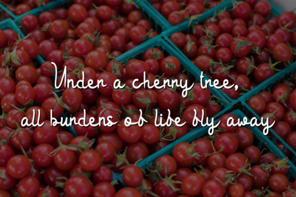 Red Cherry Font PNG with transparent background - Preview 1
