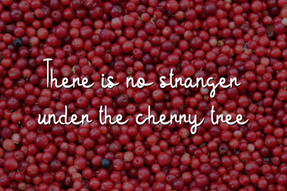 Red Cherry Font PNG with transparent background - Preview 3