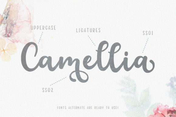 Floristy Font - Preview 1