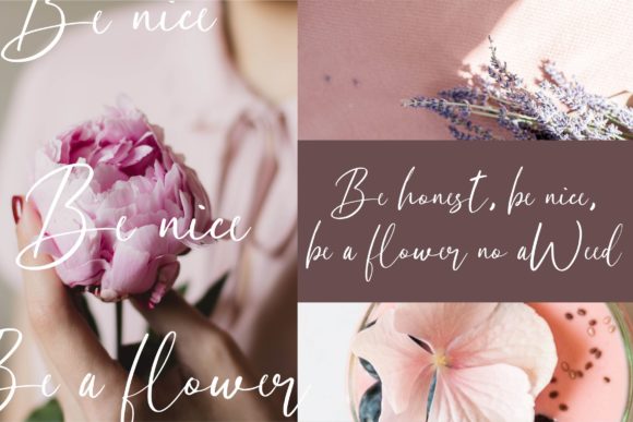 Chabellita Font - Preview 4